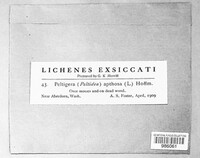 Image Associated With the Occurence